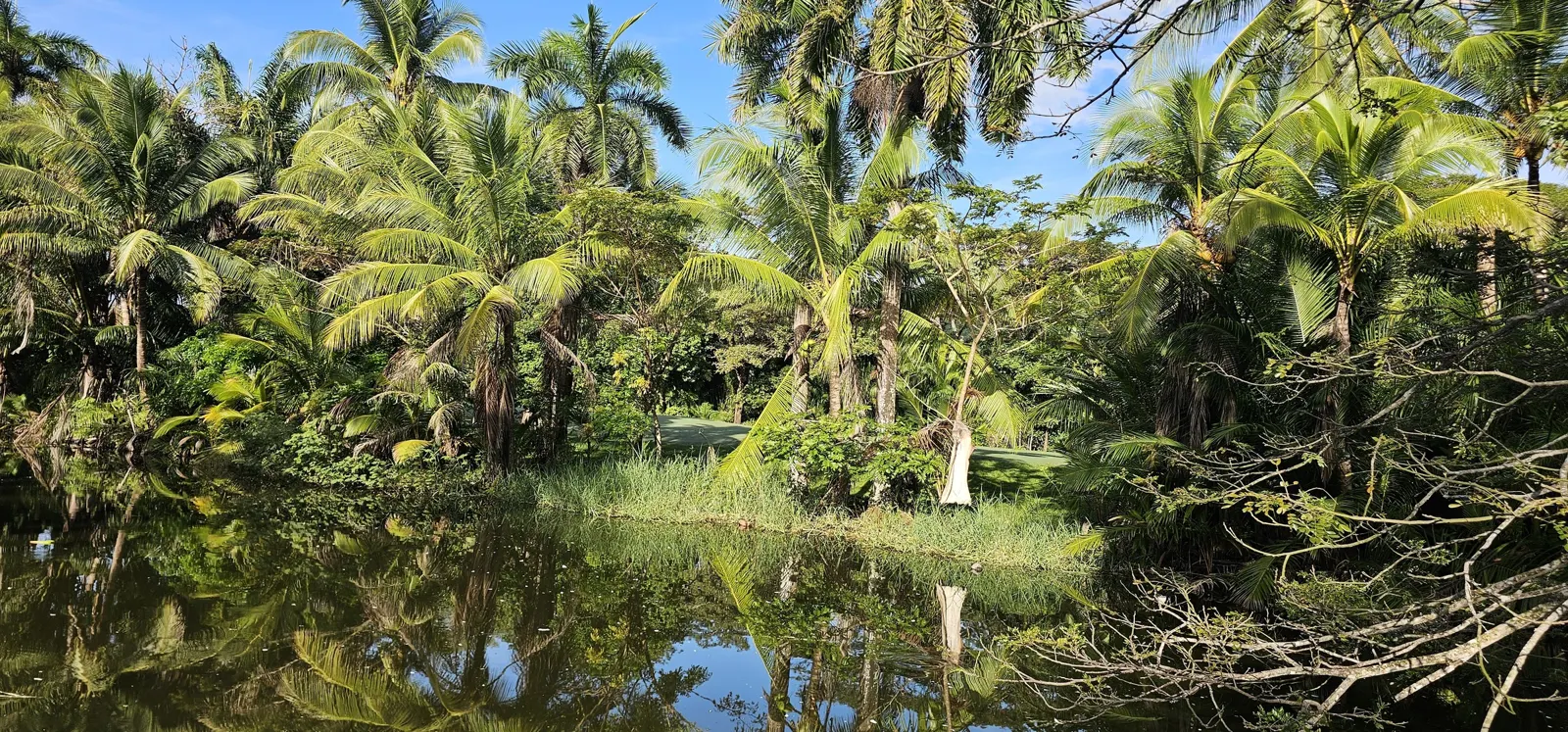 Palm-fringed lagoon near Tambor, Nicoya Peninsula